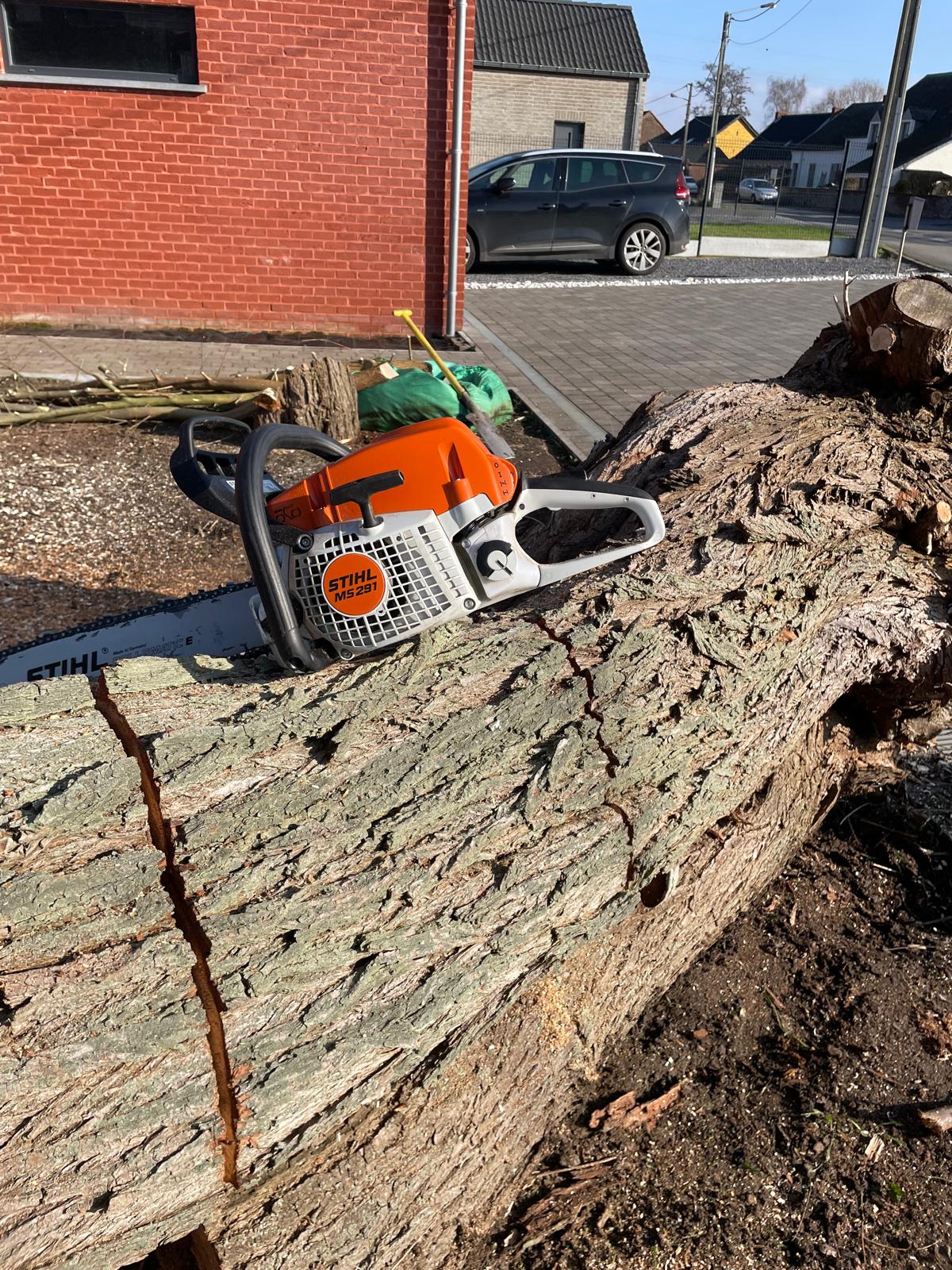 Abattage et élagage